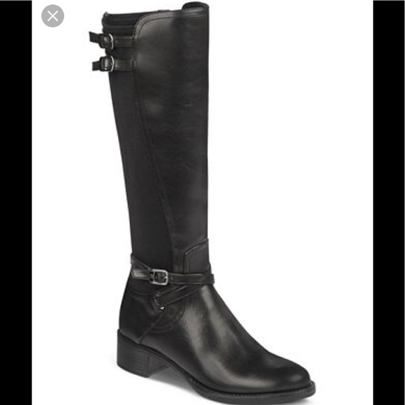 etienne aigner tall boots